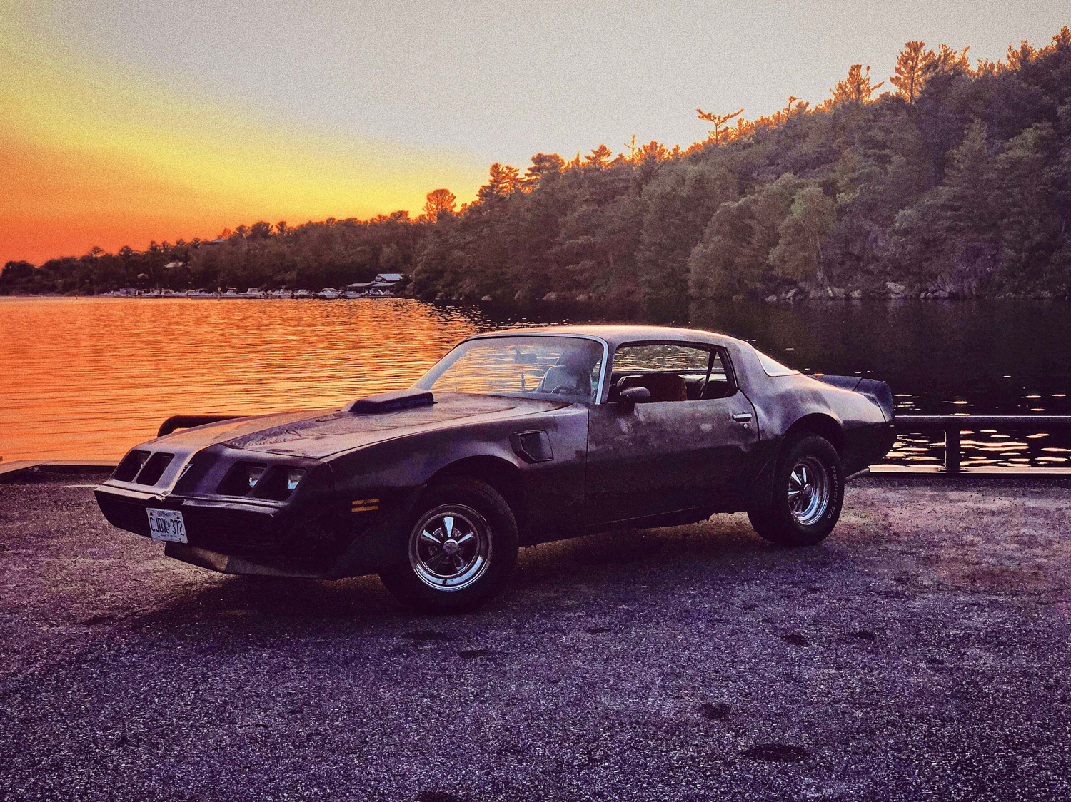 Maeve Rowan Photography - Trans Am Sunset